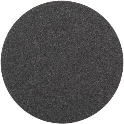Disque abrasif PS 19 EK