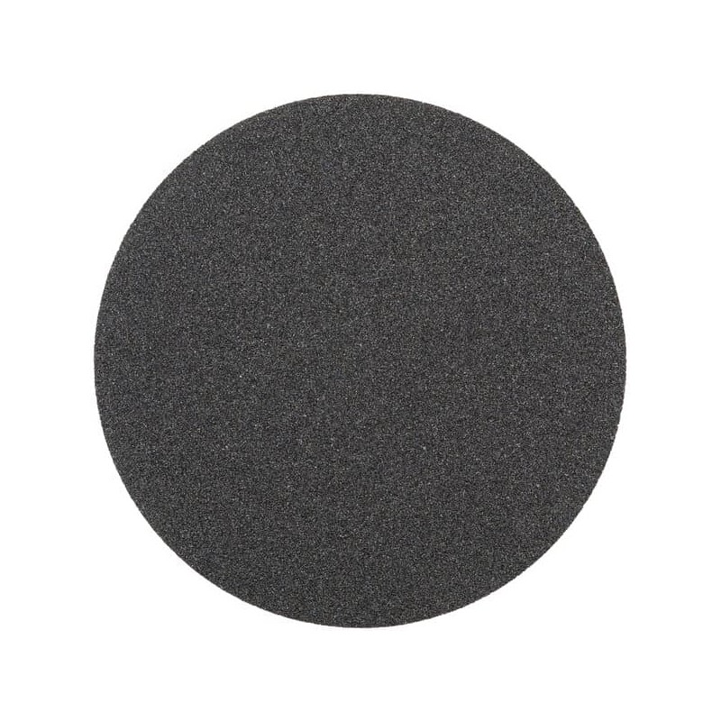 Disque abrasif PS 19 EK